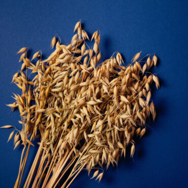 Oats