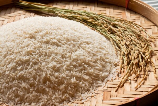 Rice