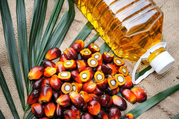 Palm oil