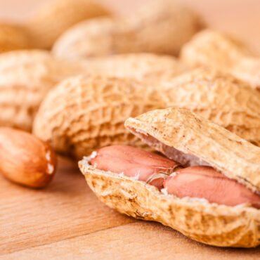 Peanut