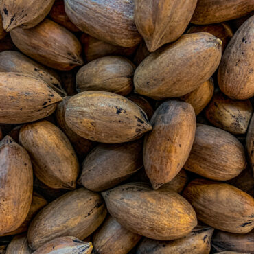 Pecans
